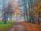 Mystical autumn landscape with morning fog and empty path in the park