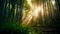 A mystical bamboo forest with beauty sunlight, serene atmosphere. Generative AI