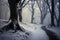 Mystical beechwood shrouded in winter fog, an enchanting natural wonder