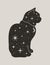 Mystical black cat in fashionable boho style. Vector magic cat silhouette with stars and Moon