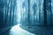 Mystical blue colored foggy forest with road