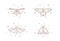 Mystical celestial outline set moths with stars line art. Spiritual elegant butterflies for branding name logo