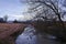 Mystical Dark River and Tree, Scary Mysterious Forest Twilight Sunset Countryside Autumn Nature, Creepy, Horror 