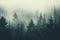 Mystical Dawn: Foggy Forest Landscape Captured in Hipster Style