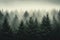 Mystical Dawn: Foggy Forest Landscape Captured in Hipster Style