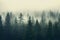 Mystical Dawn: Foggy Forest Landscape Captured in Hipster Style