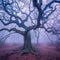 Mystical Dusk: A Gnarled Oak Tree in a Misty Forest