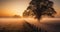Mystical Dusk - Sunsets, Fog, and the Solitary Tree in the Enchanting Field. Generative AI