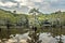 Mystical, fairytale like landscape inthe swamps of the Caddo Lake