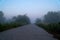 Mystical fog on a country road