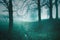 Mystical foggy fairy tale trees fantasy background