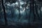 Mystical foggy forest,  Foggy morning in the woods