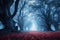 Mystical foggy forest. Halloween concept. 3D Rendering