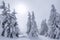 Mystical foggy forest. Winter landscape. The early morning mist. Meadow covered with frost trees in the snowdrifts. Free space for