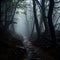 Mystical Foggy Forests: Enchanting Woodlands Shrouded in Mist