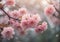 Mystical Forest Flowers: Captivating Cherry Blossoms in Ethereal Haze