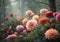 Mystical Forest Flowers: Captivating Dahlias in Ethereal Haze