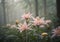 Mystical Forest Flowers: Captivating Lilies in Ethereal Haze