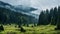 Mystical Forest Landscape: Rainy Plateau With Deciduous Trees And Firs