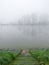 A mystical forest on the other side of the river and a peaceful autumn landscape in the cold early morning.