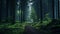 Mystical Forest Path: Dark And Foreboding Landscape Photography