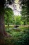 Mystical forest with tree trunk and old bridge over the canal. As in fairy tales