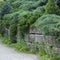 Mystical garden with stone fence, evergreen conifers and walking path