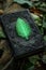 Mystical green leaf emblem on a vintage black book in a forest setting