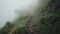 Mystical Hike: Winding Trail in Dense Fog