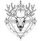 Mystical image of the skull a horned deer, sacred geometry, symbols of the moon.