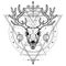 Mystical image of the skull a horned deer, sacred geometry, symbols of the moon.