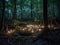 Mystical lights in dark forest with camera