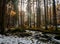 Mystical lonely hut hidden deep in magical woods during the winter.