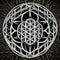 Mystical Mandala: The Flower of Life in Monochrome