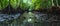 Mystical Mangrove Labyrinth - Nature\\\'s Sanctuary in Raja Ampat. Concept Nature\\\'s Sanctuary, Raja