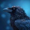 Mystical Messenger The Enigmatic Crow