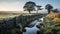 Mystical Morning: Captivating Photo Of Stone Fence In English Moorland