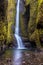 Mystical Oneonta Falls