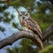 A mystical owl with antlers, perched on a moonlit tree branch in a magical woodland4, Generative AI