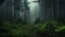 Mystical Path Through A Dark Foggy Forest