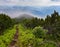 Mystical path in misty mountains