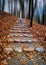 Mystical pathway at a autumn park