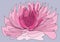 The mystical purity of the lotus, the enlightenment symbol