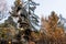 Mystical rock group and stone group Teufelsstein near the Teufelsmuehle near Rattenberg with the rock face a face or grimace of a