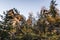 Mystical rock group and stone group Teufelsstein near the Teufelsmuehle near Rattenberg with the rock face a face or grimace of a