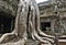 Mystical ruins of the famous Ta Prohm temple.
