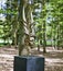 Mystical sculptures by Jan Fabre under the name CHAPTERS I - XVIII. Park De Hoge Veluwe. Otterlo. Netherlands