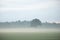 Mystical Serenity: Foggy Summer Morning in the Countryside