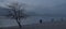 Mystical Shoreline: Evening Veil and Solitary Tree