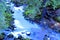 Mystical small rapids, stones covered with moss in forest.